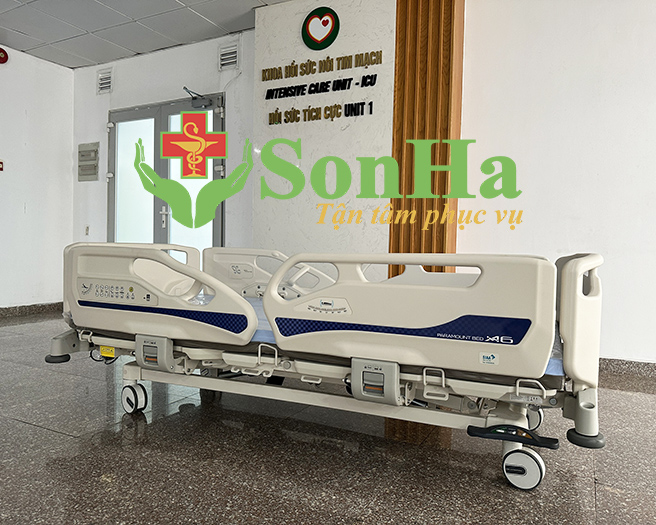 paramount bed a6 hcm